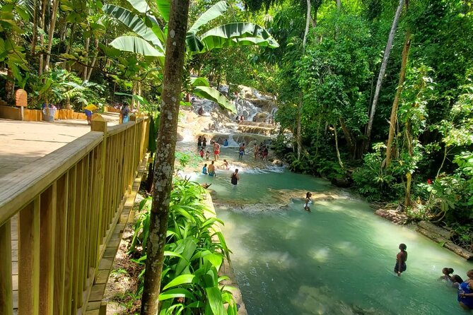 Private Transfer from Montego Bay to Dunns River Falls - Meeting your driver in Montego Bay