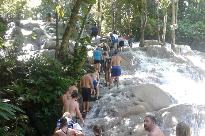 Private Transfer to Dunns River Blue Hole Tubing from Montego Bay - A private Montego Bay day with a packed route