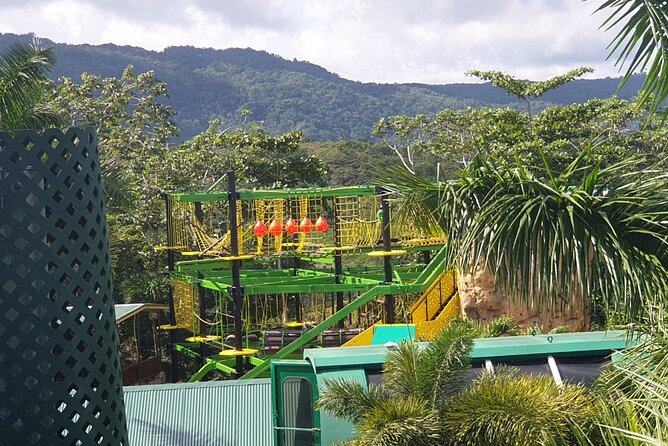 Private Transportation from Montego Bay to Mystic Mountain and Dunn's River Fall - Why this private transfer works well from Montego Bay