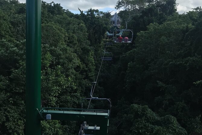 Private Transportation from Montego Bay to Mystic Mountain and Dunn's River Fall - Drivers add local context to the ride