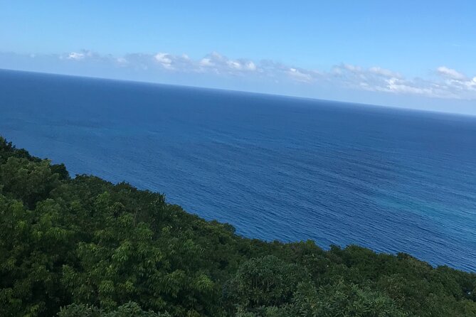 Private Transportation from Montego Bay to Mystic Mountain and Dunn's River Fall - How to plan the two stops