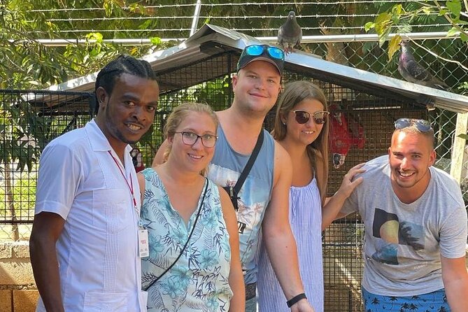 Private Transportation to Blue Hole & Dunns River Falls-w Drinks! - Why the private vehicle matters from Montego Bay