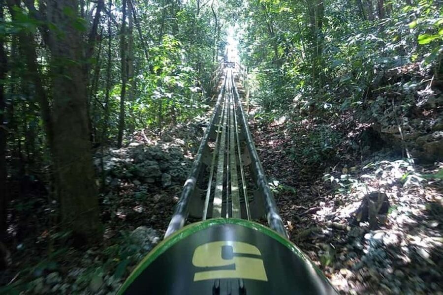Rainforest Bobsled Mystic Mountain transportation - What the $208 price means