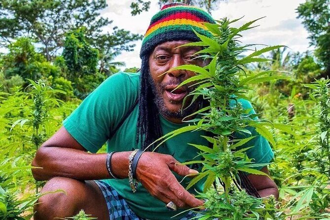 Rasta Safari Atv Experience and Rick's Cafe Private Tour - Key points at a glance