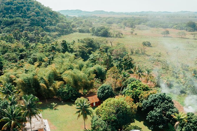 Rastafari Cultural ATV Community Experience from Montego Bay - Forest tracks, farms, and rural Jamaica