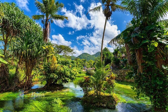 Rastafari Cultural ATV Community Experience from Montego Bay - The ganja field and plant-based traditions