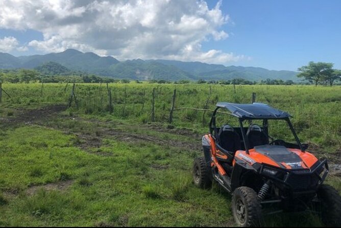 Rastafari Cultural ATV Community Experience from Montego Bay - Fruit straight from the trees