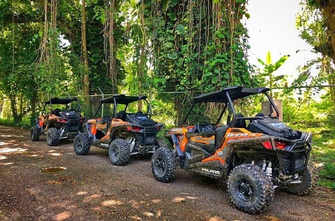 Rastafari Cultural ATV Community Experience from Negril - What the $164.59 price includes