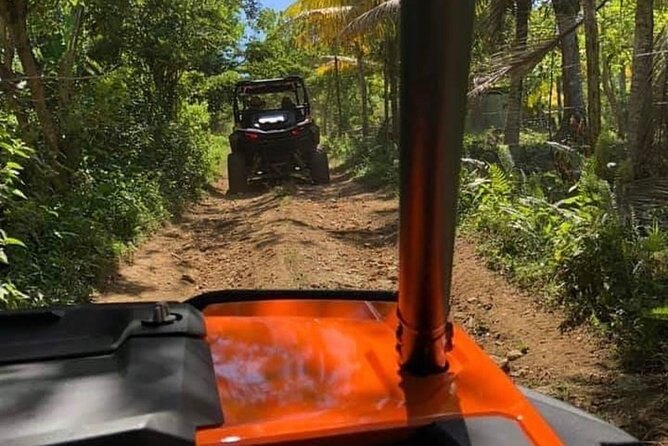 Rastafari Safari Cultural ATV Ride & Ricks Cafe Combo - Rastafari Safari and the ATV ride
