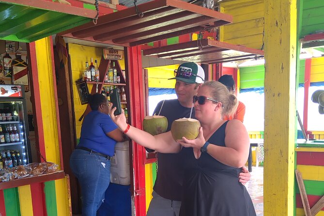 Rick’s Café and Seven Mile Beach Negril Private Guided Tour - Who will enjoy this tour most?