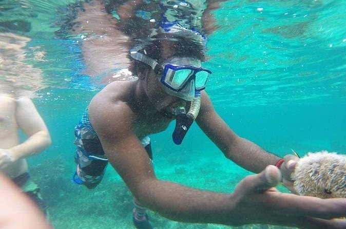 Rick's Cafe Sunset Cruise and Snorkelling - Is the $90 Price Good Value?