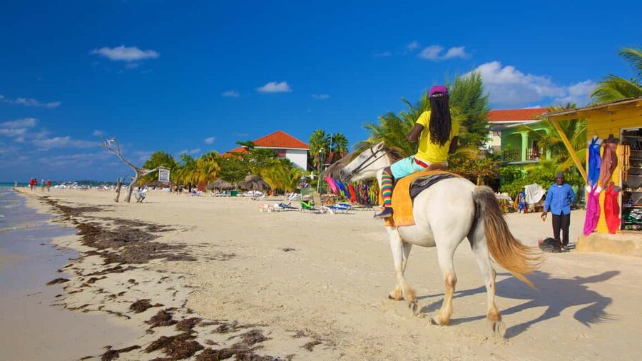 Ricks cafe & 7mile Beach Day Tour From Montego Bay. - Key Points at a Glance
