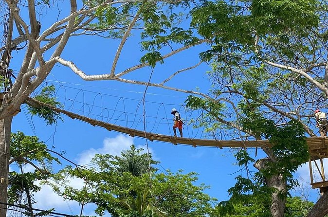 Rio Nuevo Village Ziplining - Three zip lines, with the river crossing as the highlight