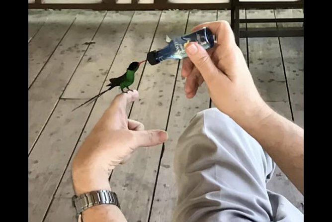 Rockland Bird Sanctuary and Hip-Strip Shopping - What the $100.34 price really covers