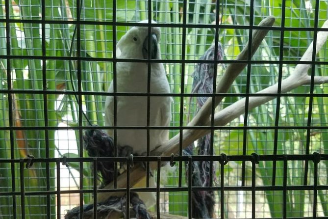 Rockland Bird Sanctuary Private Tour - Walking through Rockland Bird Sanctuary
