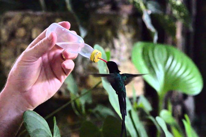Rockland Bird Sanctuary Private Tour - What makes the private format useful