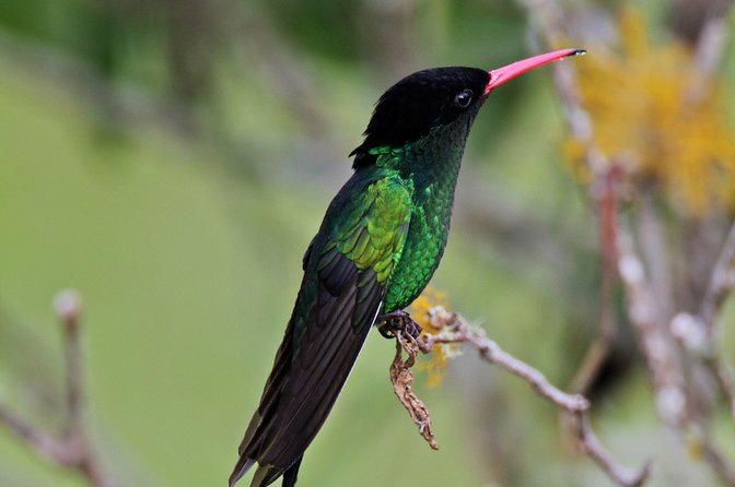 Rockland Bird Sanctuary Private Tour - Is $120 per person a fair price?