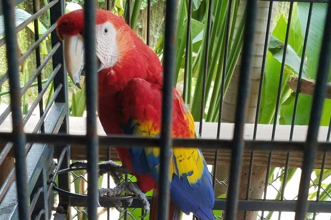 Rockland Bird Sanctuary Private Tour - The guides can make or break the outing