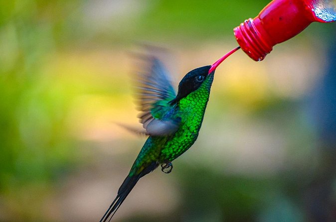 Rockland Bird Sanctuary Private Tour - Practical planning before you go