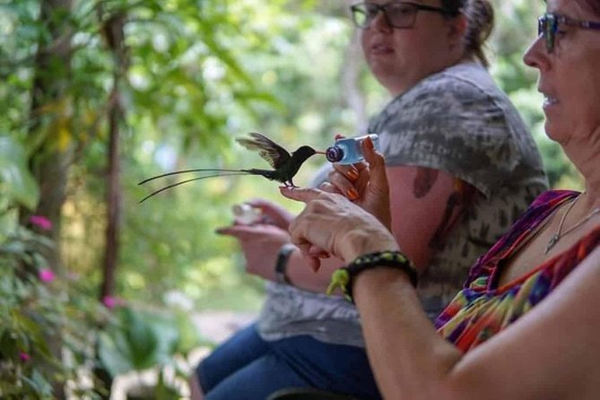Rockland Bird Sanctuary Private Tour - The 20-minute ride from Montego Bay