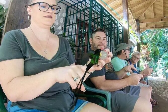 Rockland's Bird Sanctuary Tour from Montego Bay/ Falmouth - Meeting Jamaica’s Doctor Bird