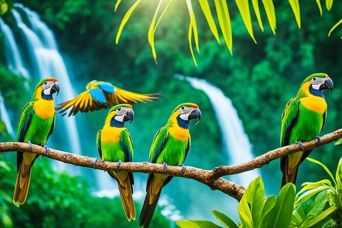 Rockland's Bird Sanctuary Tour from Montego Bay/ Falmouth - What the $70 price really includes