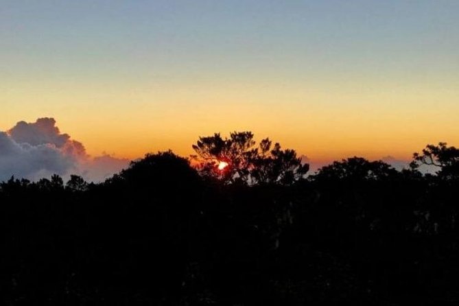 Scenic Blue Mountain Hike from Kingston - Blue Mountain Peak and the high-country setting