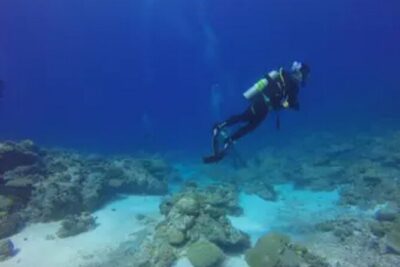 Scuba Diving and shopping on the Hipstrip.