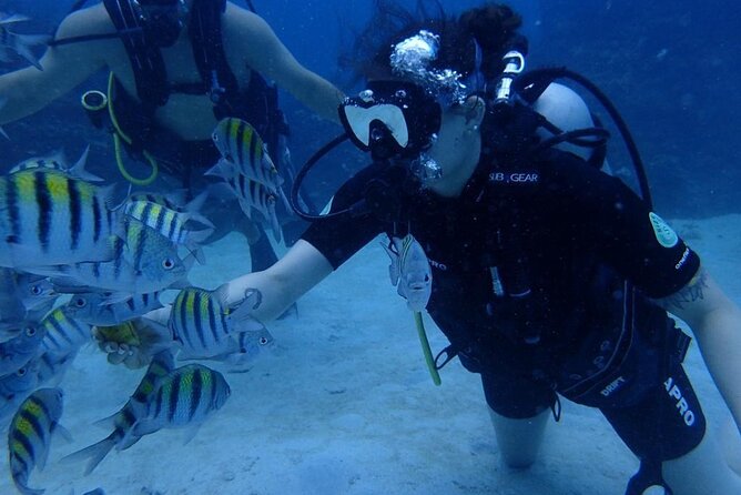 Scuba Diving and shopping on the Hipstrip. - Who will enjoy this most?