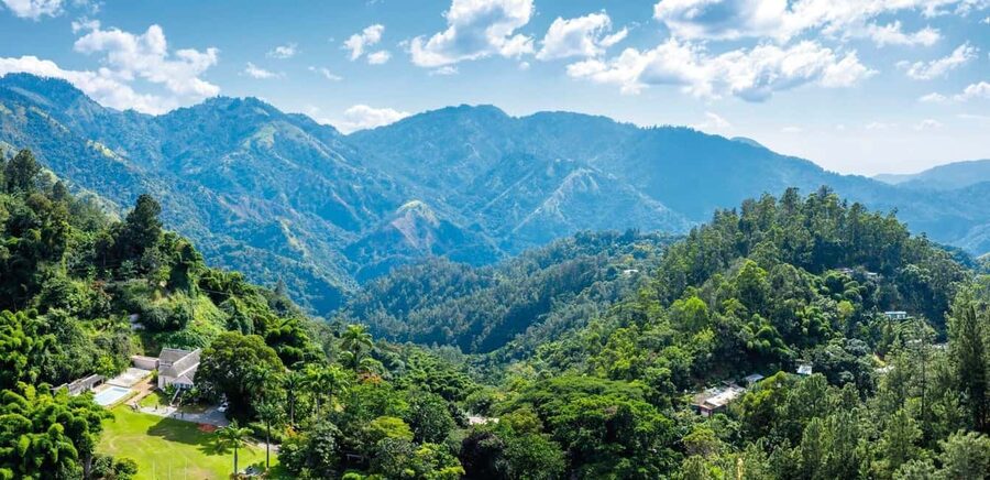 Shared/Private Full Day Blue Mountains Tour -Top Attractions - A Jamaican lunch made in a grandmother’s style