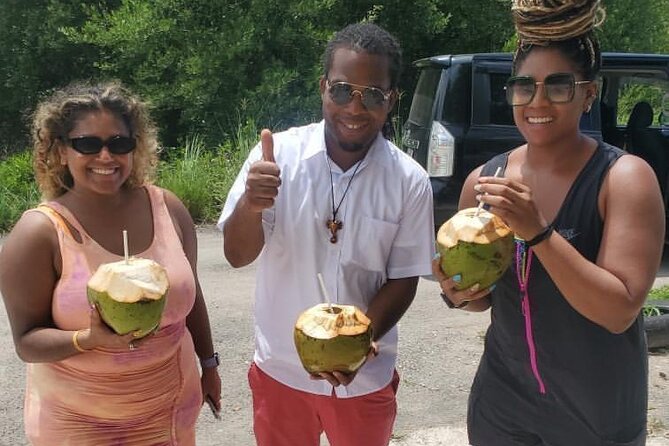 Sight seeing tour through the hills of JAMAICA - Key points at a glance