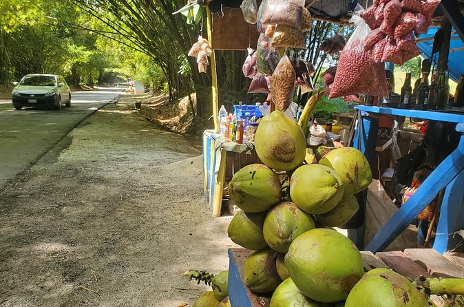 Sight seeing tour through the hills of JAMAICA - Who will enjoy this day most