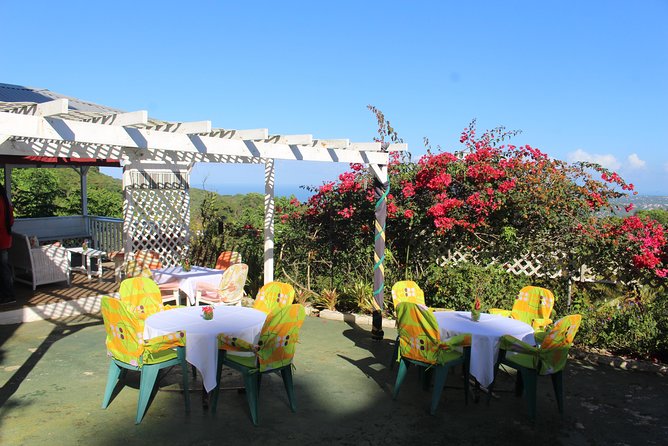 Skip the Line: Ahhh Ras Natango Gallery and Garden Admission Tickets - The climb to the mountain view above Montego Bay