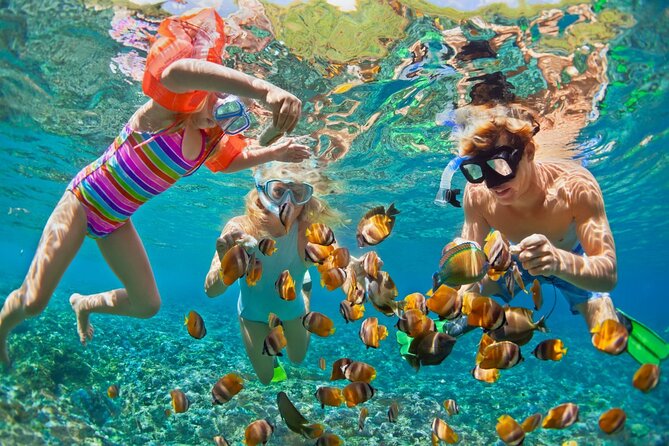 Snorkeling activity with Boat ride from Montego Bay - Key points at a glance