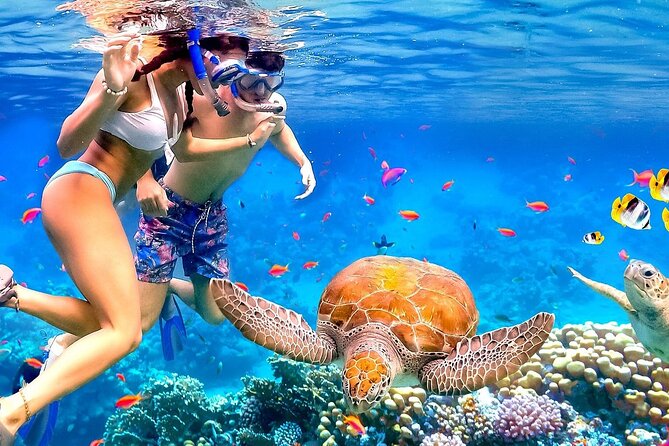 Snorkeling activity with Boat ride from Montego Bay - Leaving Montego Bay in a private vehicle