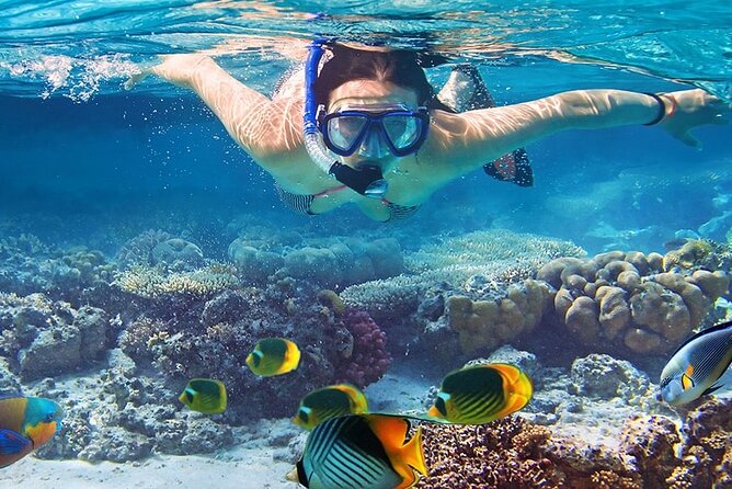 Snorkeling activity with Boat ride from Montego Bay - Why the private format matters