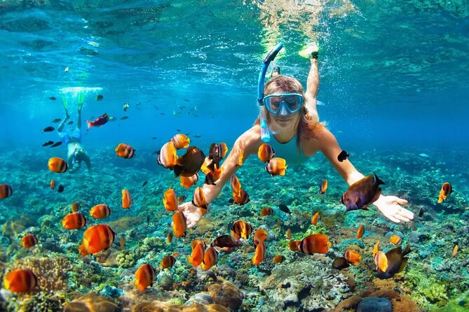 Snorkeling activity with Boat ride from Montego Bay - The human side of the excursion