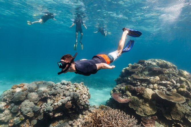 Snorkeling activity with Boat ride from Montego Bay - Getting comfortable with the gear