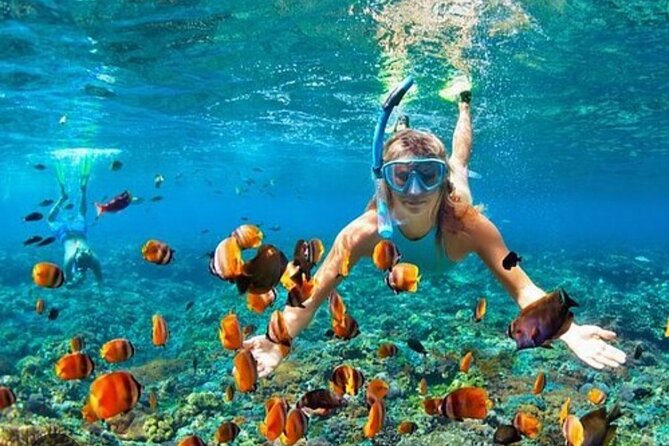 Snorkeling and Shopping Tour in Montego Bay with pick up - Key points at a glance
