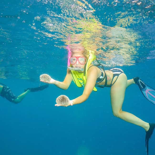 Snorkeling in Montego Bay with Transportation - What this Montego Bay snorkeling trip really offers