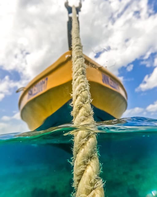 Snorkeling in Montego Bay with Transportation - Practical advice for a smoother outing