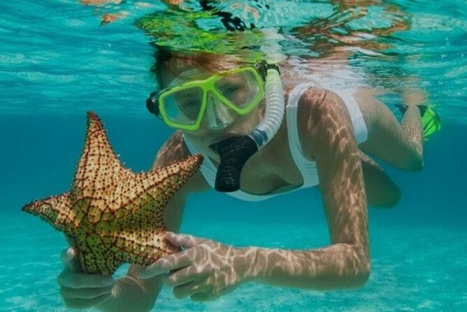 Snorkeling with Margaritaville and shops on Hipstrip activity - Key points to know before booking