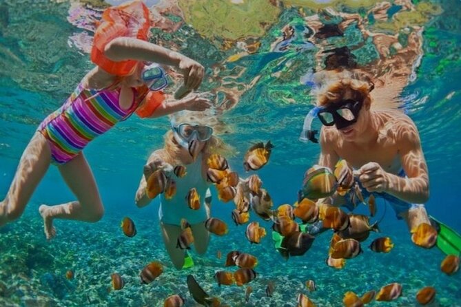 Snorkeling with Margaritaville and shops on Hipstrip activity - What the boat stop offers