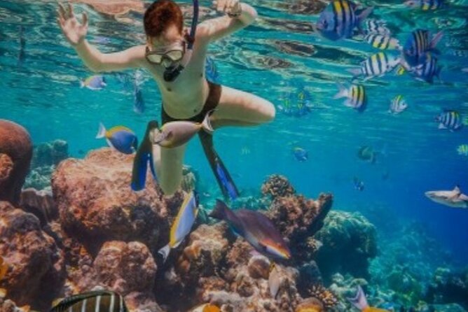 Snorkeling with Margaritaville and shops on Hipstrip activity - Margaritaville on Montego Bay’s Hip Strip