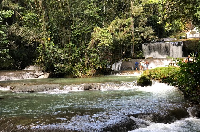 South Coast Jamaica YS Falls Tour - Who will enjoy YS Falls most?