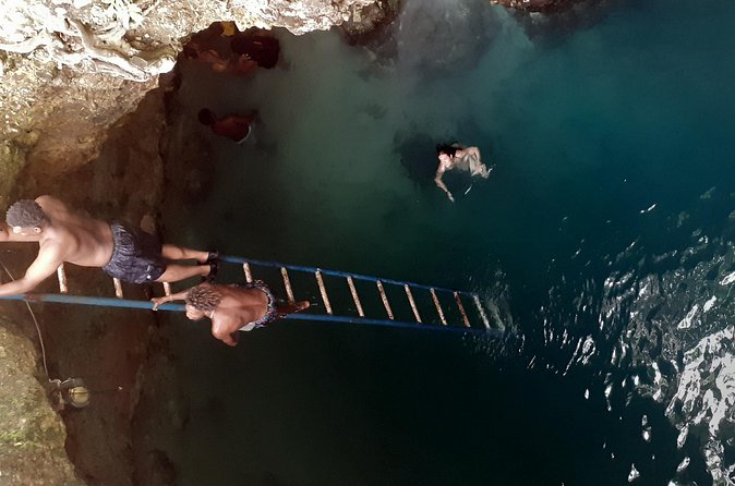 Stepping High Mountain Tour and Blue Hole Mineral Spring from Montego Bay - The driver can shape the whole day