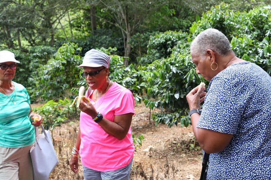 Taste of Jamaica Farm & Food Tour - Why the guides make a difference