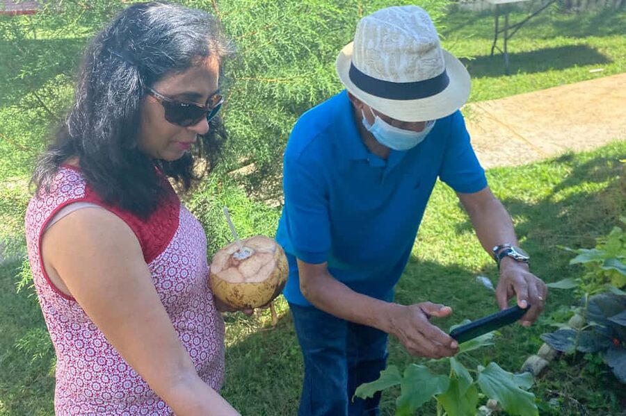 Taste of Jamaica Farm & Food Tour - Is $98 a fair price?