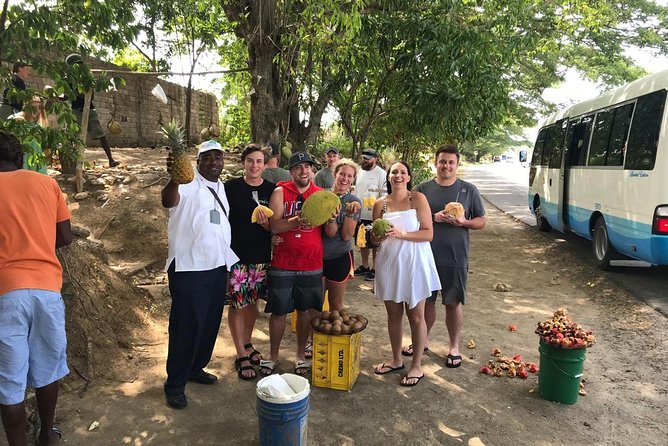 Taste of Jamaica Food Tour from Ocho Rios - Breadnut Hill and a look at local life