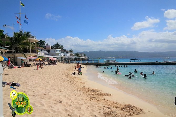 The AMAZING Montego Bay Tour - Roadside Fruit and Everyday Jamaica